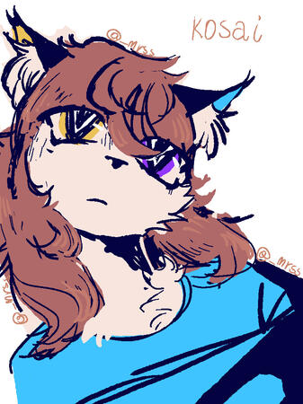 my oc Kosai, who is my online avatar